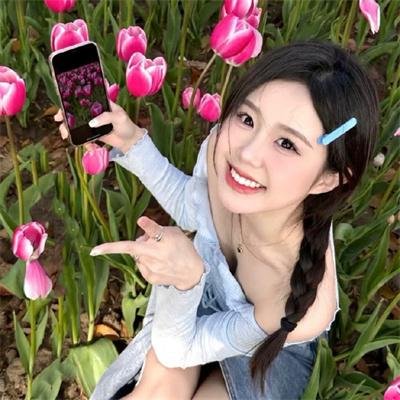 谍网寻凶
